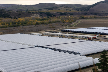 Rows of white agricultural greenhouses with Midstate refrigerated shipping containers and trucks on-site, providing cold storage solutions for farms in California.