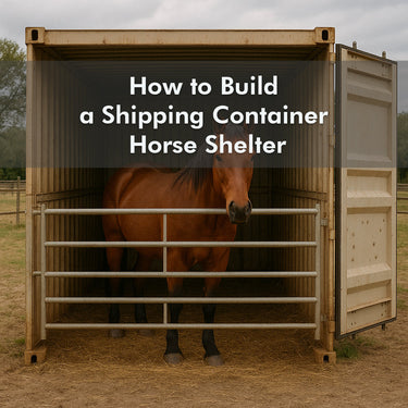 Shipping Container Horse Stables Guide