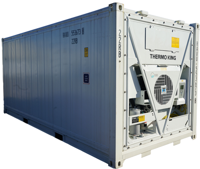 20' Standard Height New Refrigerated Container (Three Phase)
