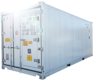 20' Standard Height New Refrigerated Container (Three Phase)