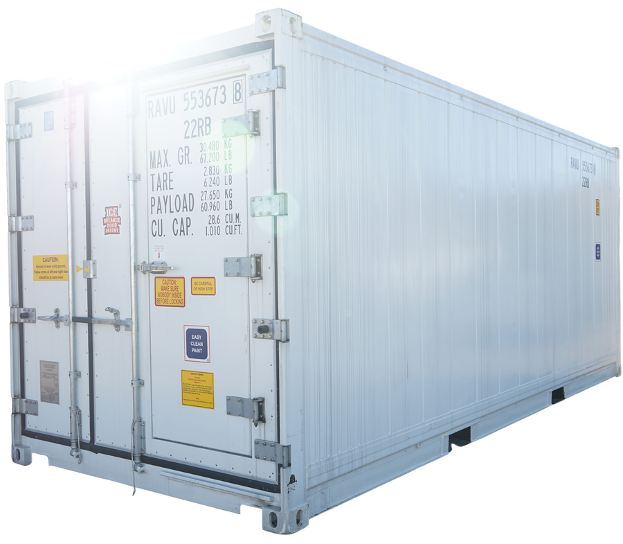 20' Standard Height New Refrigerated Container (Three Phase)